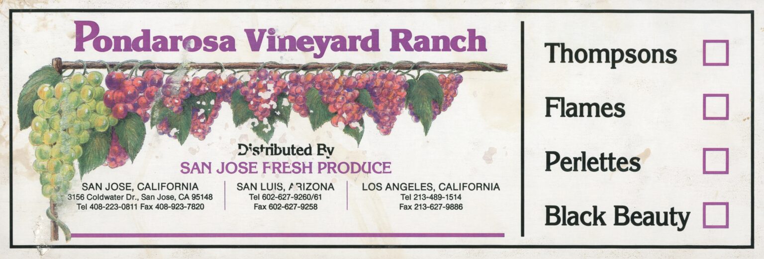 Pondarosa Vineyard Ranch